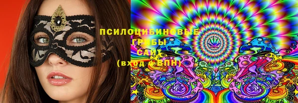 spice Вязники