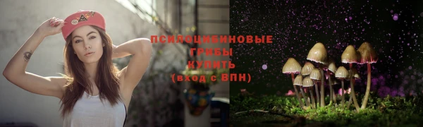 mdma Вяземский