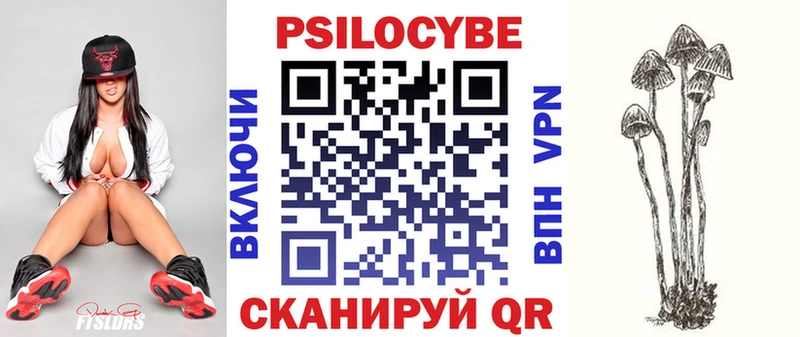 Галлюциногенные грибы мицелий  наркотики  Гаврилов Посад 